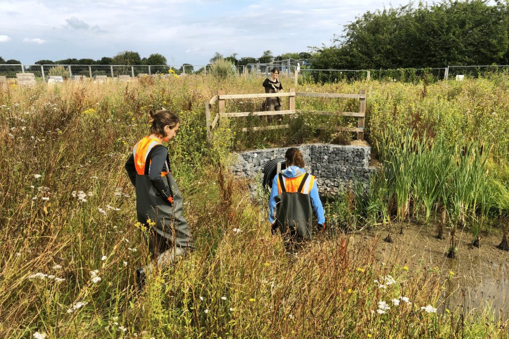 Water Vole Survey