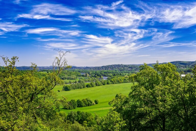 UK Countryside with Blue Sky