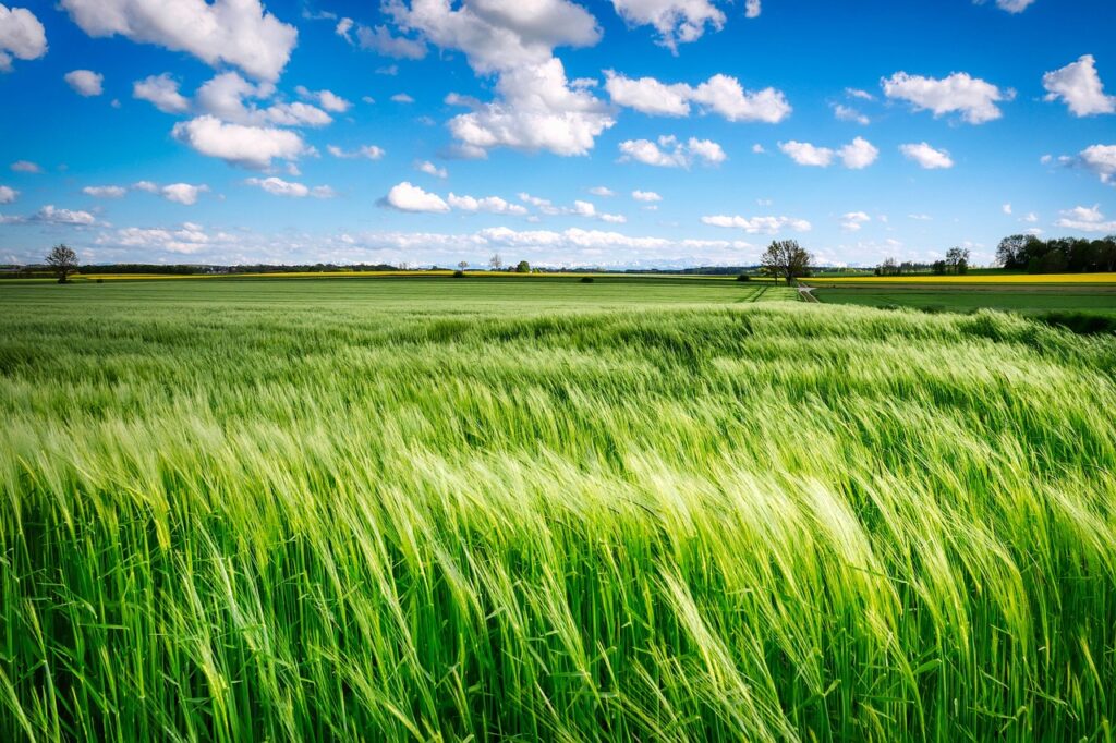 UK Countryside