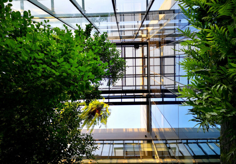 Office with Greenery