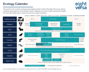 Ecology Calendar Download