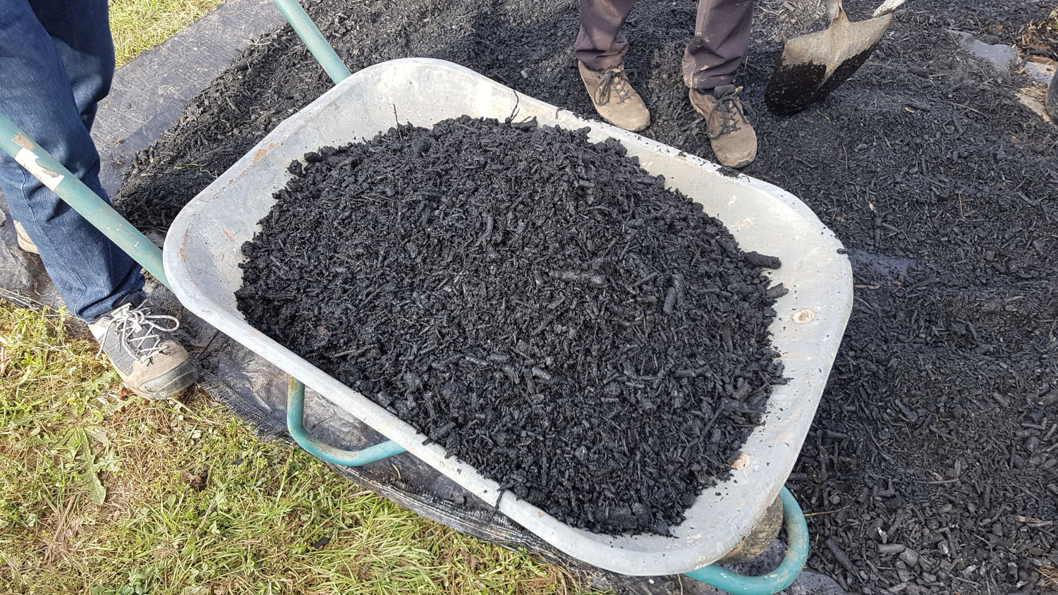 Biochar in a wheelbarrow