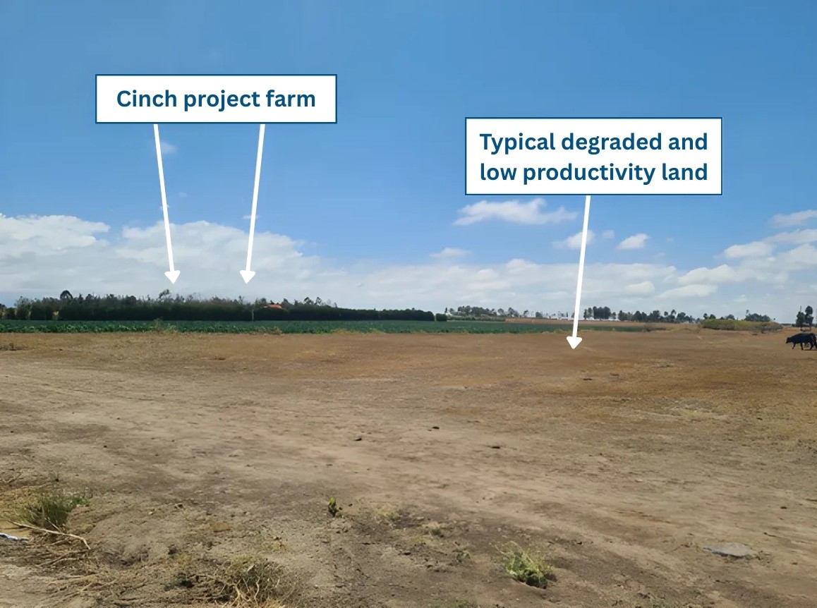 Cinch Project Farm - Biochar Impact