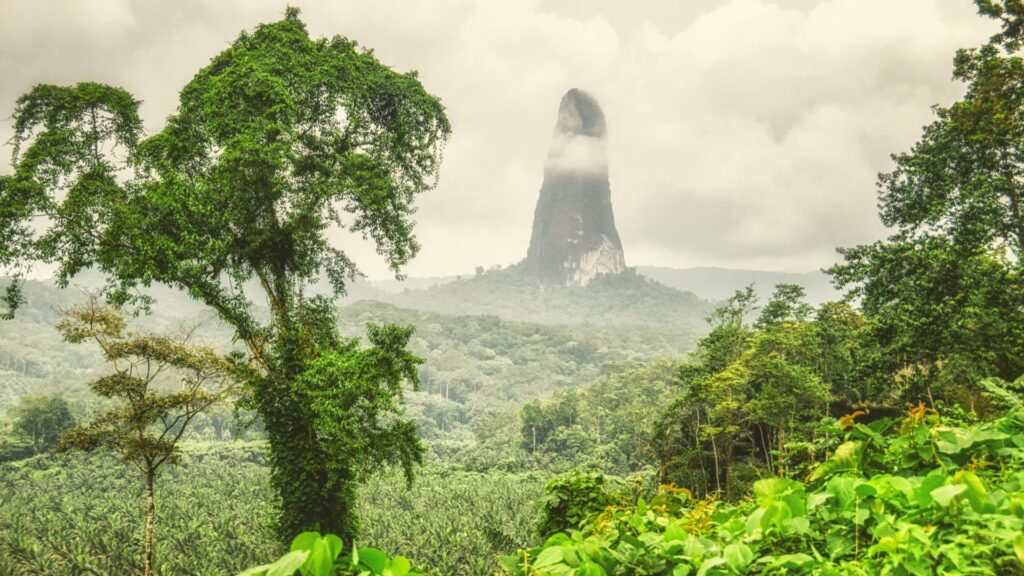 Sao Tome and Principe -Biochar - Case Study
