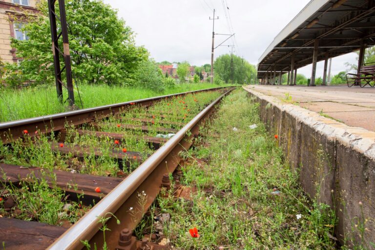 Open Mosaic Habitat - Brownfield Railway Station
