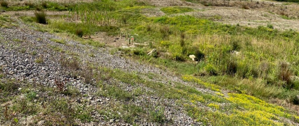 Open Mosaic Habitat - Brownfield Site