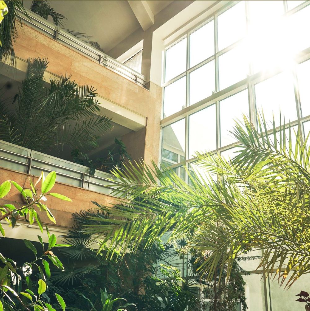 WELL - Office Atrium
